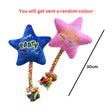 Pet Toys Happy Birthday Star(30cm) image 0