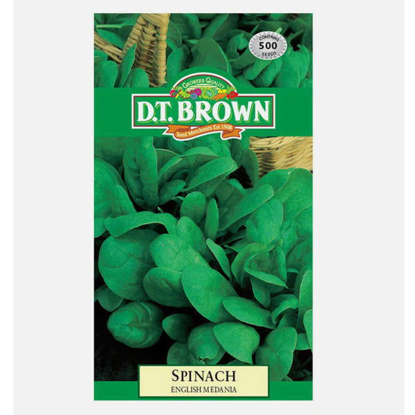 SPINACH English Medania image 0