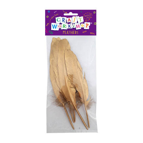 Craft Feathers Golden 15-19cm 5pc image 0
