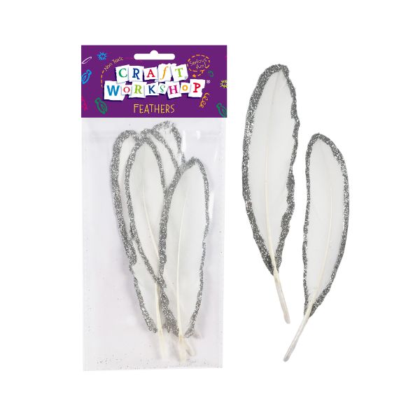 Craft Feathers White w/Silver Edge 5pc 10-15cm image 0