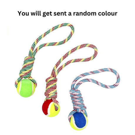 Dog Rope Toy image 0