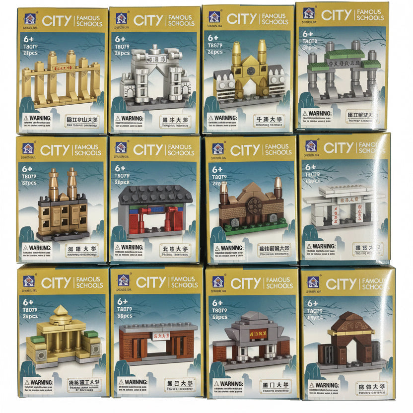 Famous University Mini Building Blocks Toy