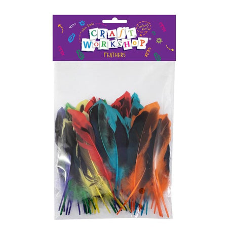 Craft Feather Clr+Blck 12-15cm 50pc image 0