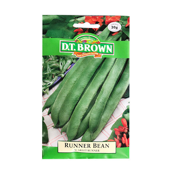 Scarlet Runner Bean - Vegetable Seed image 0