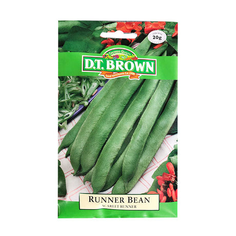 Scarlet Runner Bean - Vegetable Seed image 0