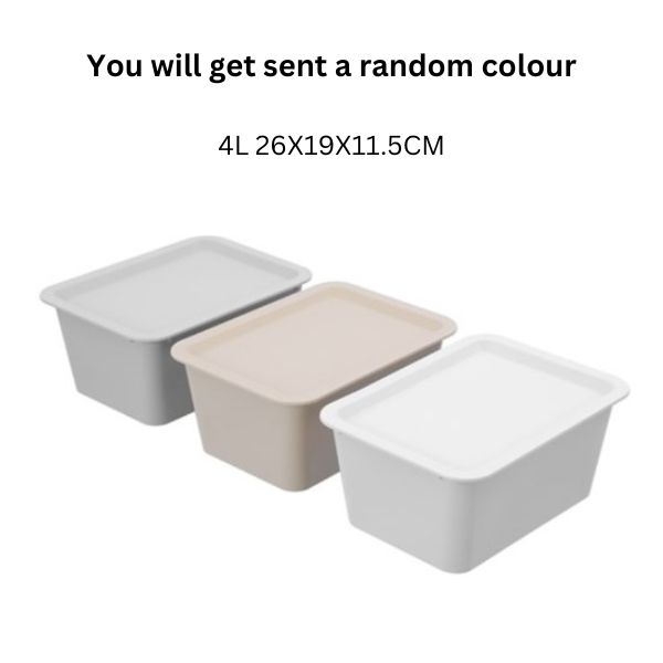 TIDY STORAGE BOX LIDDED 4L 26X19X11.5CM 3 ASSTD image 0