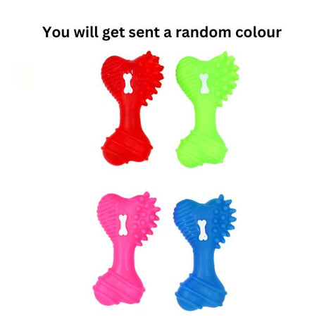 TPR Dog Toy - Dumbell Shape image 0