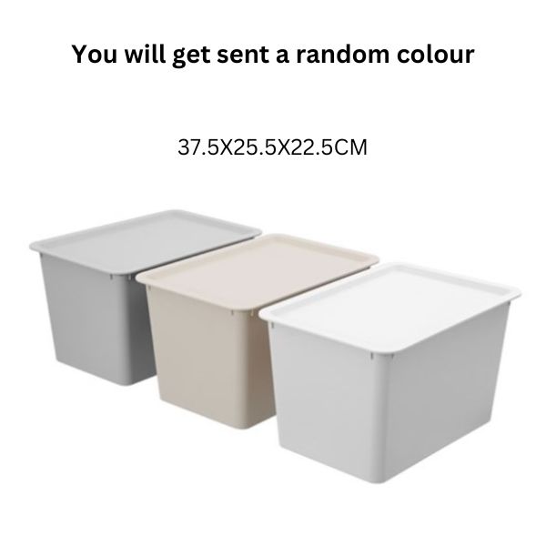TIDY STORAGE BOX LIDDED 20L 37.5X25.5X22.5CM 3 ASSTD image 0