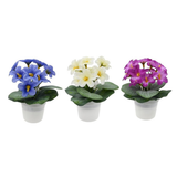 Artificial Violet in Pot 14cm – Assorted