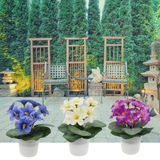 Artificial Violet in Pot 14cm – Assorted