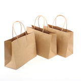 Brown Kraft Paper Bags 3pk – 21x15cm