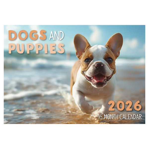 CALENDAR RECTANGLE DOGS FSC MIX 2026