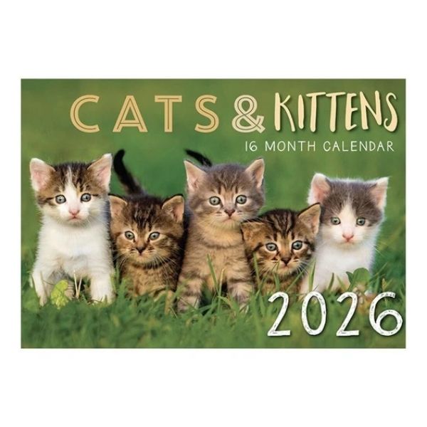CALENDAR RECTANGLE CATS FSC MIX 2026