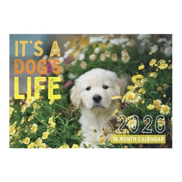 CALENDAR RECTANGLE NEW ZEALAND FSC MIX 2026