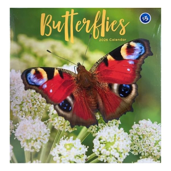 CALENDAR SQUARE BUTTERFLIES FSC MIX 2026
