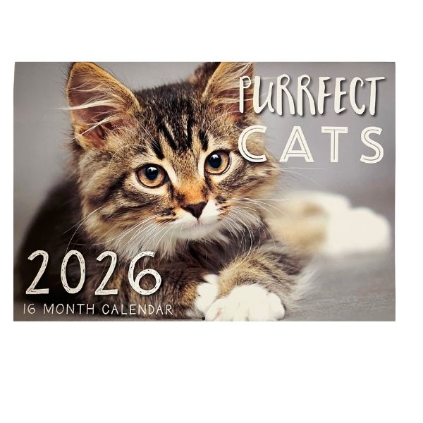 CALENDAR RECTANGLE PURRFECT CAT FSC MIX 2026