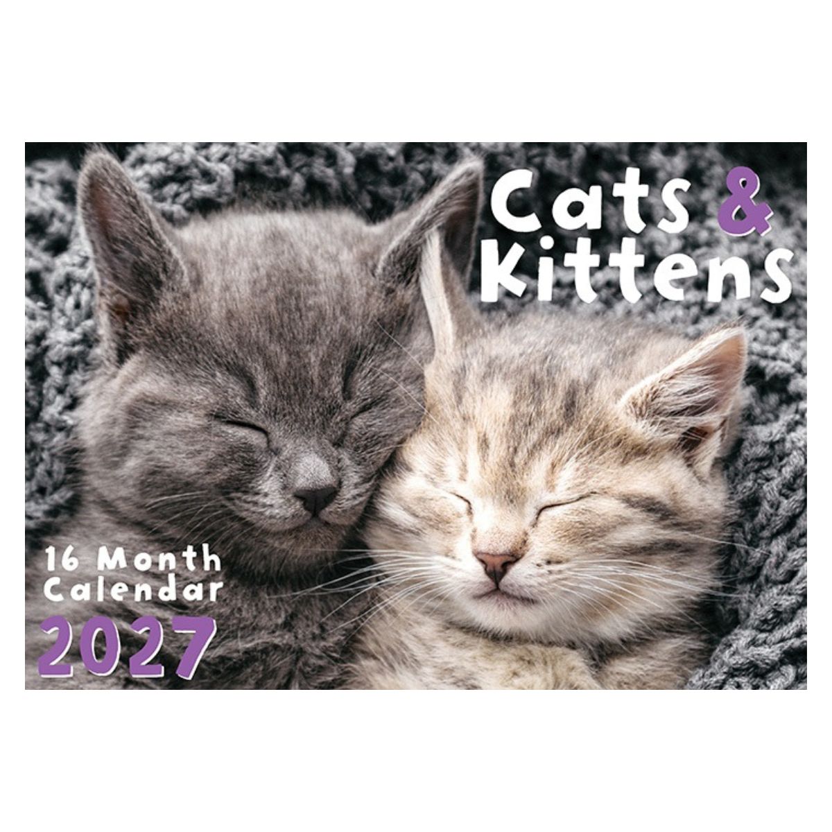2027 Cats Rectangle Calendar - FSC Mix