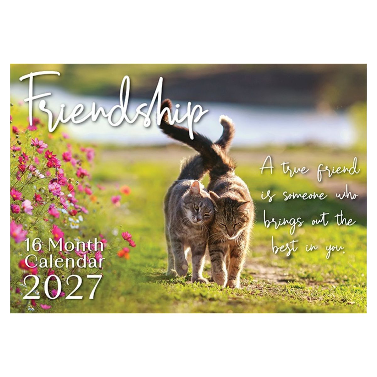 2027 Friends Rectangle Calendar - FSC Mix