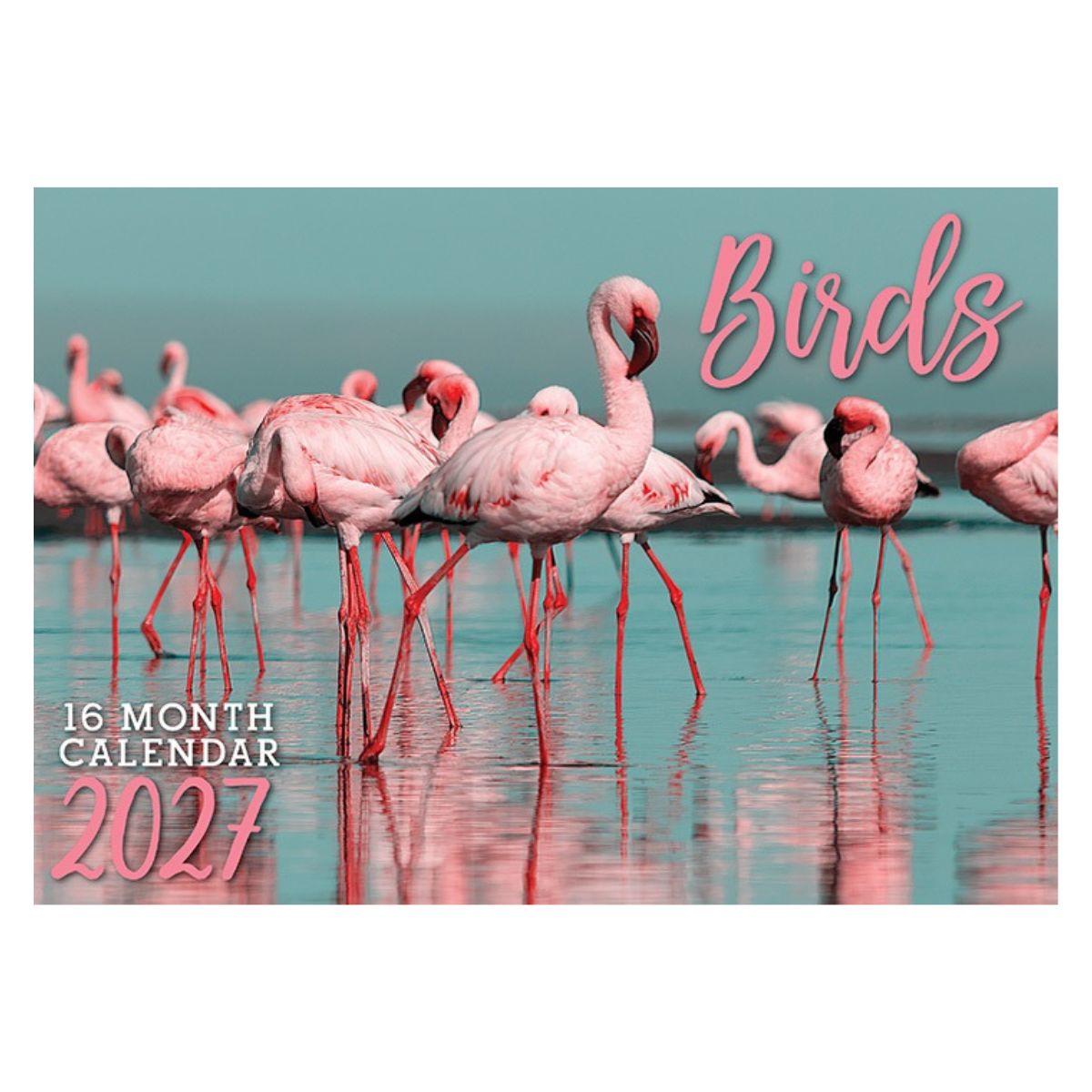 2027 Birds Rectangle Calendar - FSC Mix