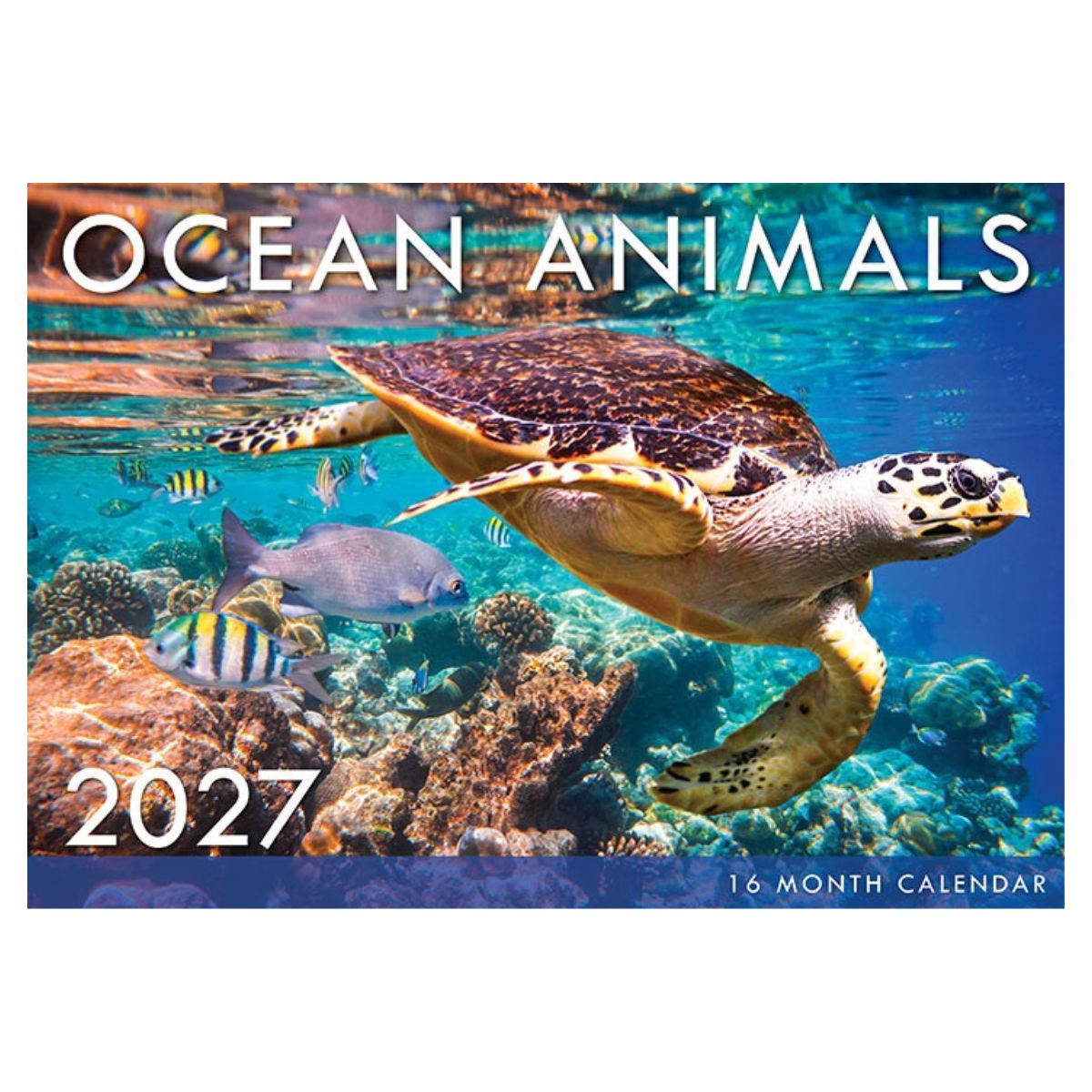 2027 Ocean Animals Rectangle Calendar - FSC Mix