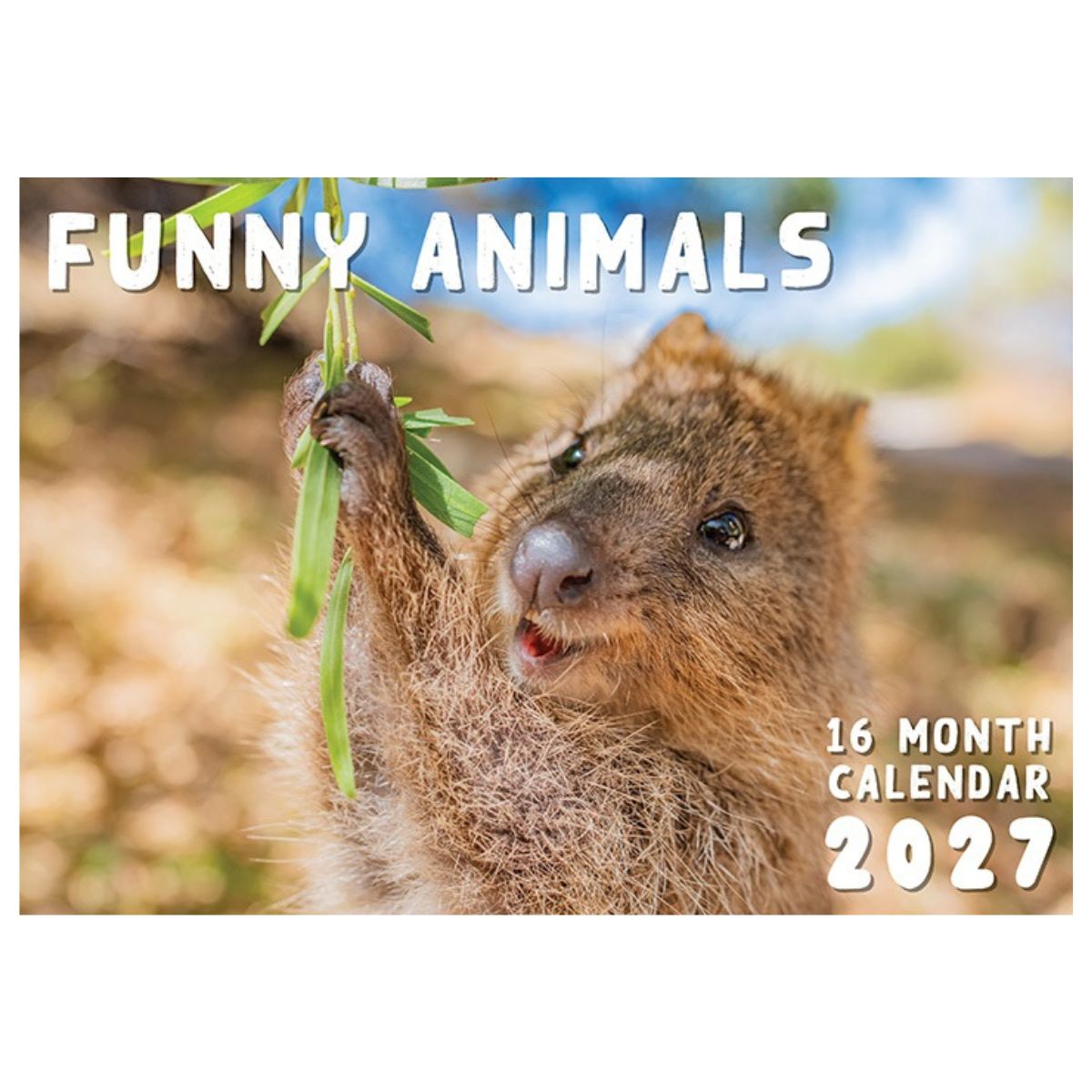 2027 Funny Animals Rectangle Calendar - FSC Mix