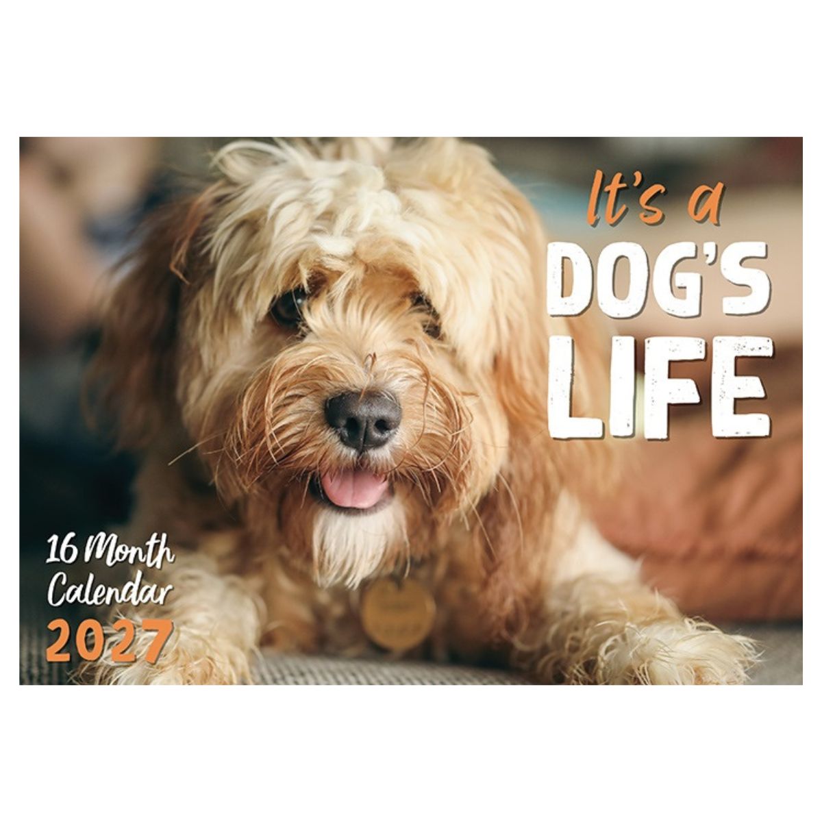 2027 Dog Puppies Rectangle Calendar - FSC Mix