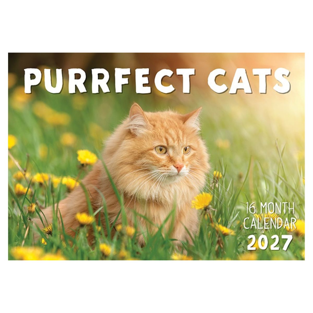 2027 Cat Kittens Rectangle Calendar - FSC Mix