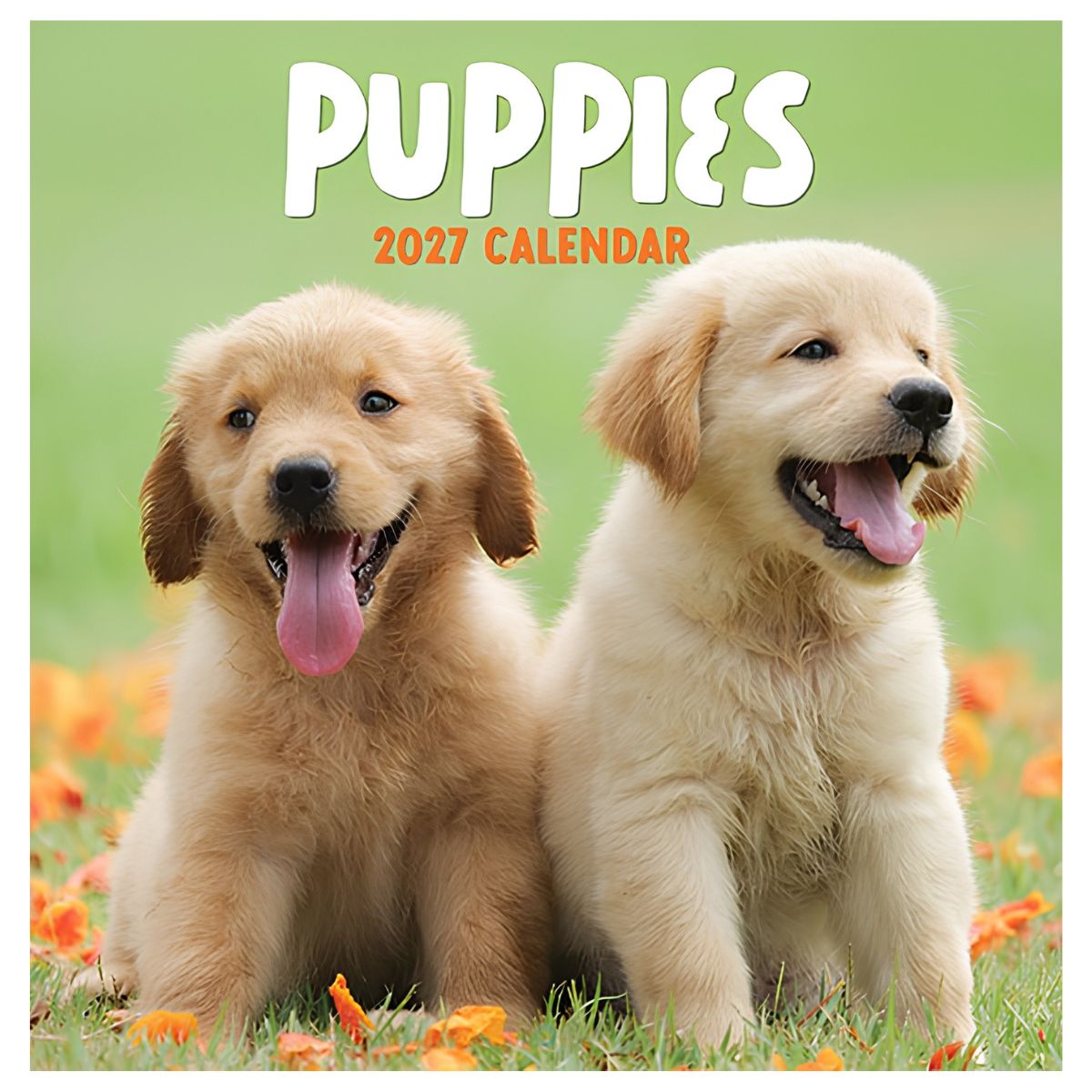 2027 Puppies Square Calendar - FSC Mix