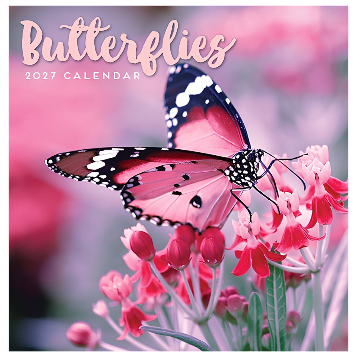 2027 Butterflies Square Calendar - FSC Mix