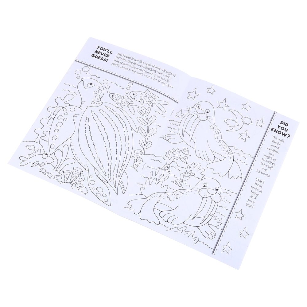 Colouring Book Facts A4 – Assorted Covers