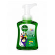 Dettol Kids Hand Wash 250ml gentle germ protection hand soap for children
