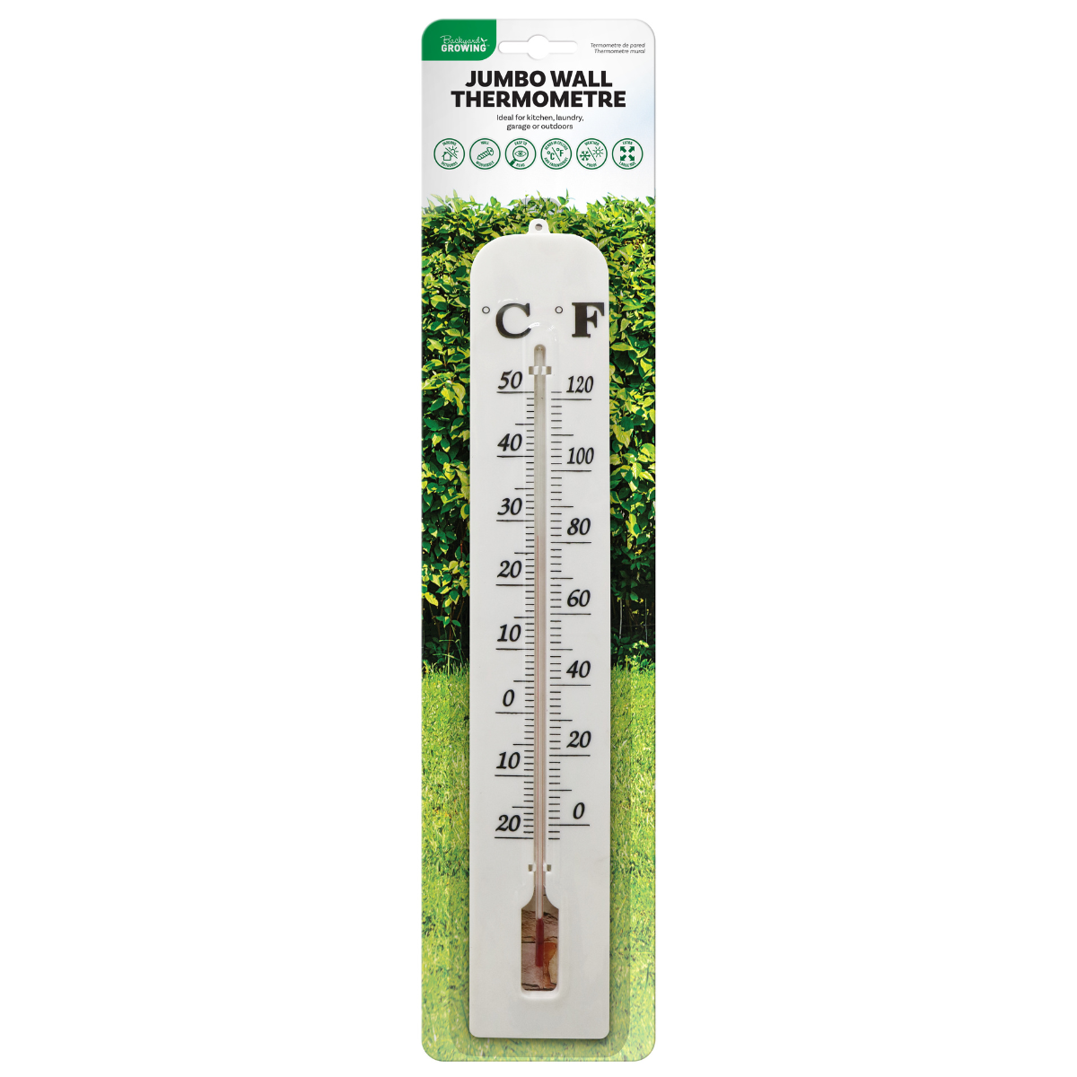 Wall Thermometer Jumbo