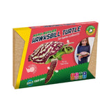 Build Your Own Mini Sea Turtle NET