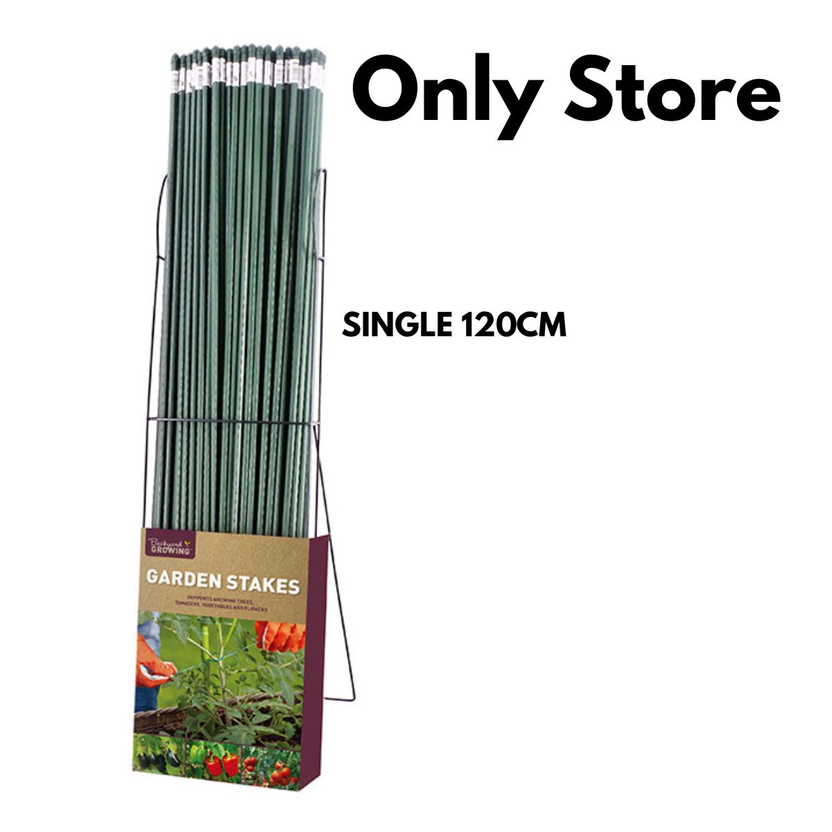 Garden Stake Single 120cm
