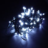 light fairy low voltage 100LED 6.5M cool white