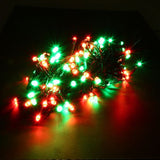 light fairy low voltage 100LED 6.5M red&green
