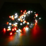 light fairy low voltage 100LED 6.5M red&cool white