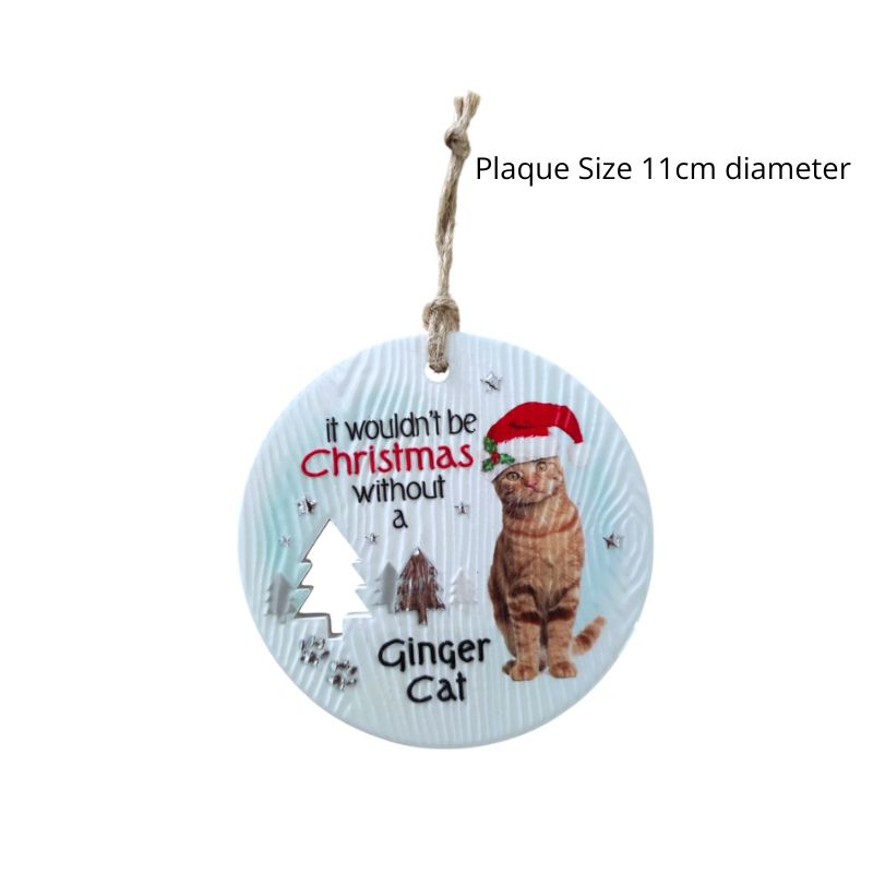 Ginger Cat Christmas Wishes Plaque NEW!