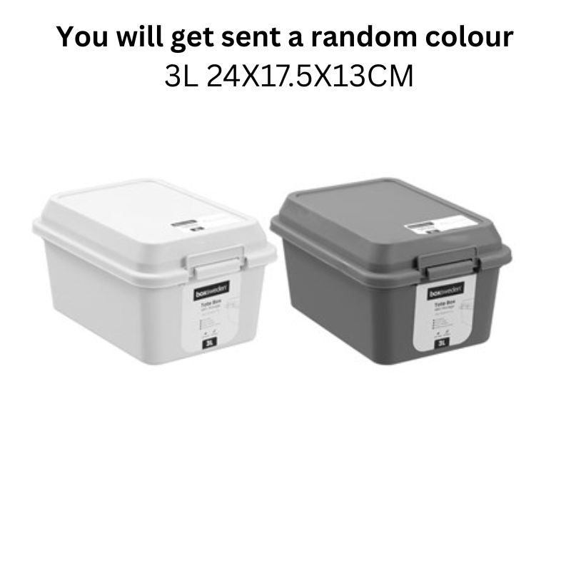 TOTE MINI STORAGE BOX 3L24X17.5X13CM 2 ASSTD