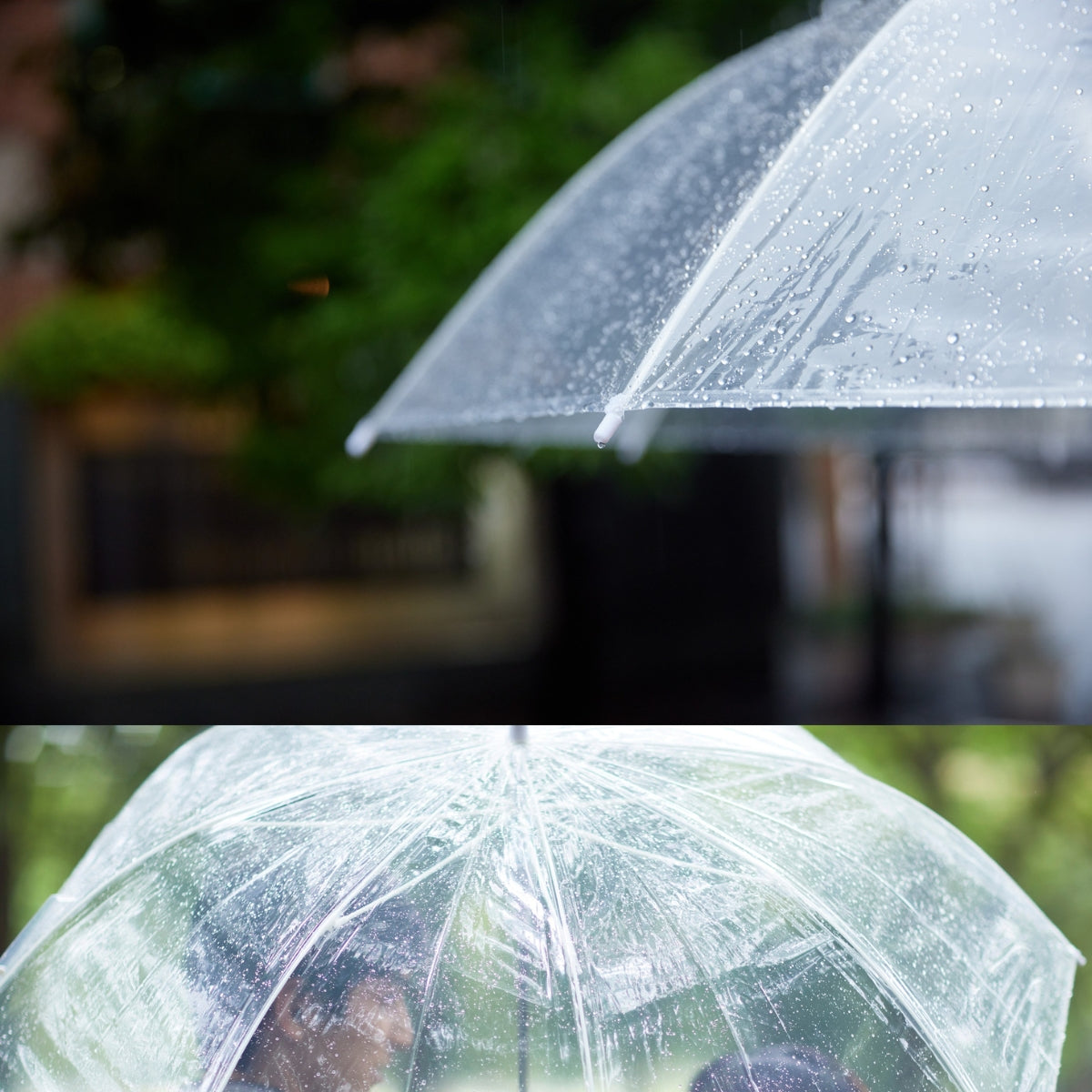 Umbrella - Clear