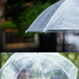 Umbrella - Clear