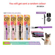 2Pc Cat Collar Gem Design 20-30Cm 4Asst image 0