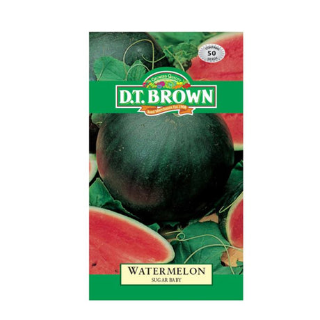 WATERMELON Sugar Baby image 0