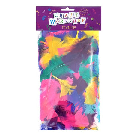 Craft Feathers Pink Purple Yellow Aqua image 0