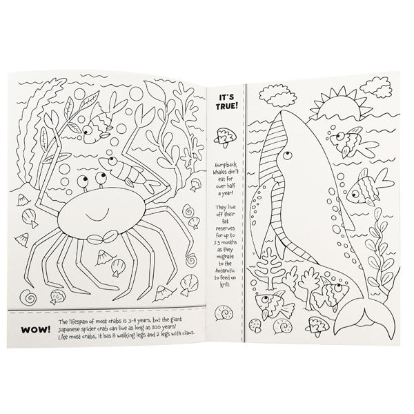 Colouring Ocean Fact Book 32pg image 1