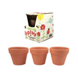 Nature Play Terracotta Pot 3pc 75mm image 0